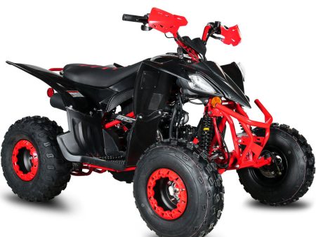 Evoque VQS-125XR 125CC ATV Hot on Sale