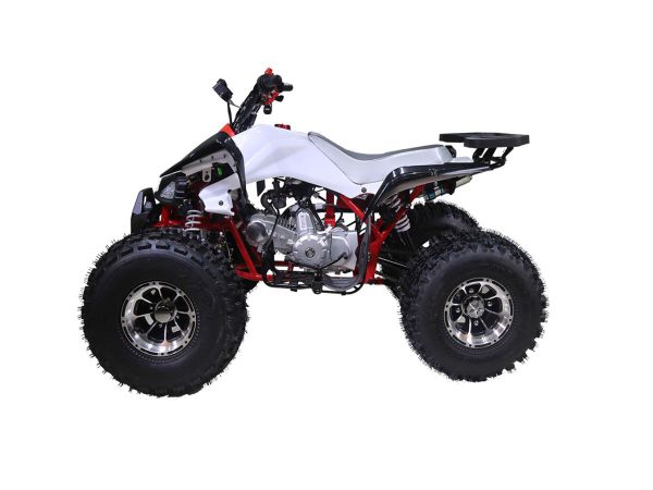 ATV TAO MOTORS - CHEETAH PRO - 125cc AUTOMATIC Discount