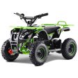 APOLLO VRX-TIGER  36v 800w KIDS ATV Discount