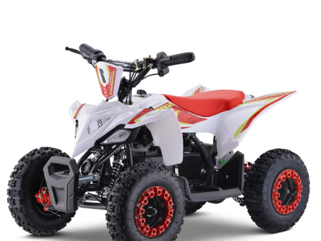 Apollo Sano Cobra 36v 800W Electric ATV Cheap