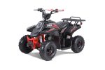 2024 Rock 110cc Gas ATV With Reverse - Tao Motors Discount