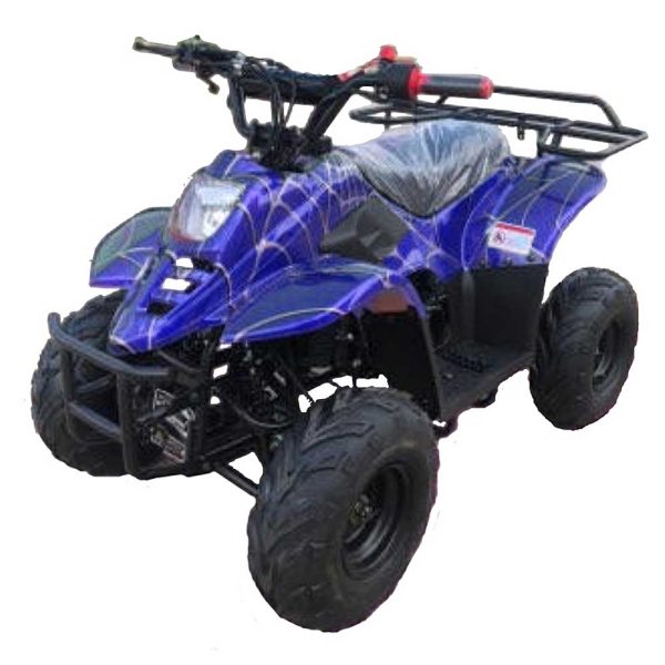 Apollo SMX Hawk 110cc Kids Atv Online