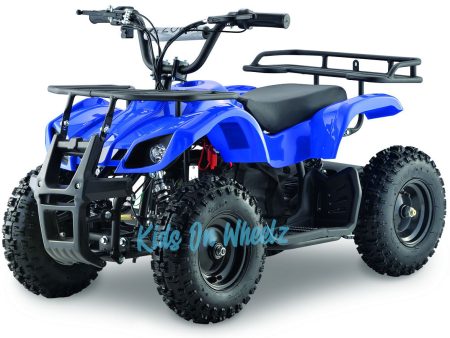 ELECTRIC ATV 36V  800W QUAD FOR KIDS Online now