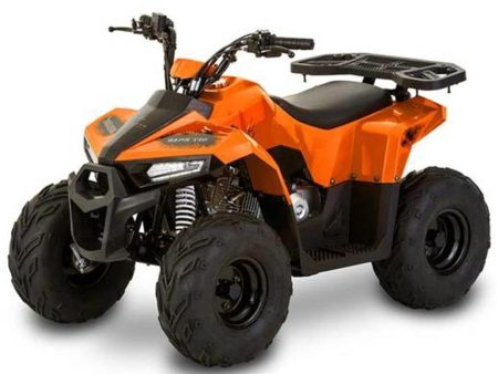 Mudhawk 6 Gas Atv 110cc 4 Stroke - Tao Motors For Sale