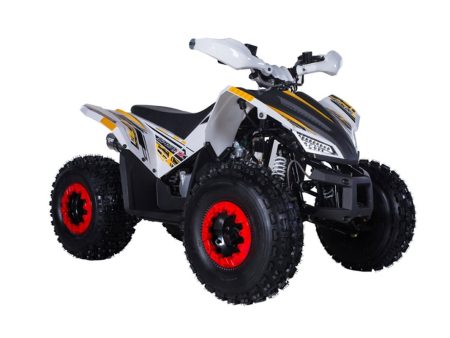 Tao Rex 125cc Gas ATV With Reverse For Sale