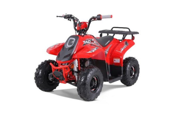 2024 Rock 110cc Gas ATV With Reverse - Tao Motors Discount