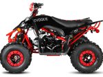 Evoque VQS-125XR 125CC ATV Hot on Sale