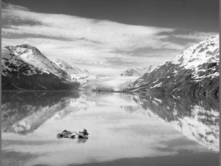 ICE REFLECTIONS, GLACIER BAY, ALASKA Online Sale