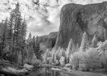 El Capitan, Clouds and Forest Glow Hot on Sale