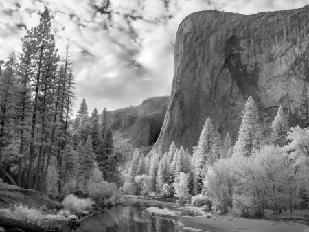 El Capitan, Clouds and Forest Glow Hot on Sale