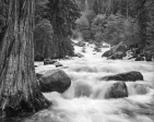 Merced River Rapids from Happy Isles, Yosemite Online now